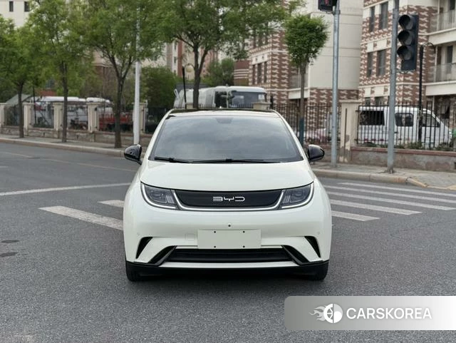 BYD dolphin id 4207077 из Китая 22