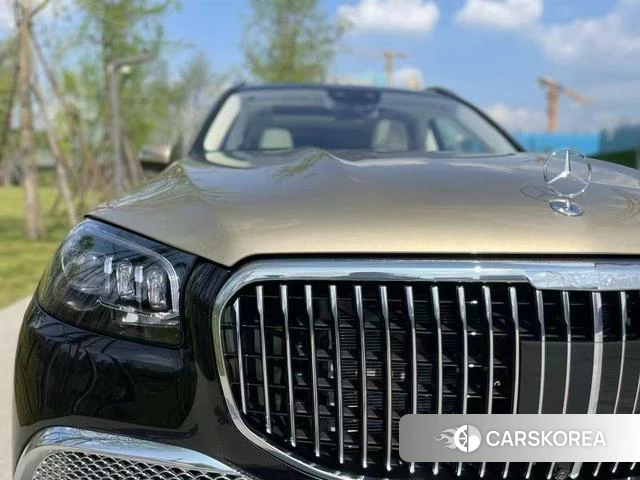 Mercedes-Benz Maybach GLS id 4300808 из Китая 14