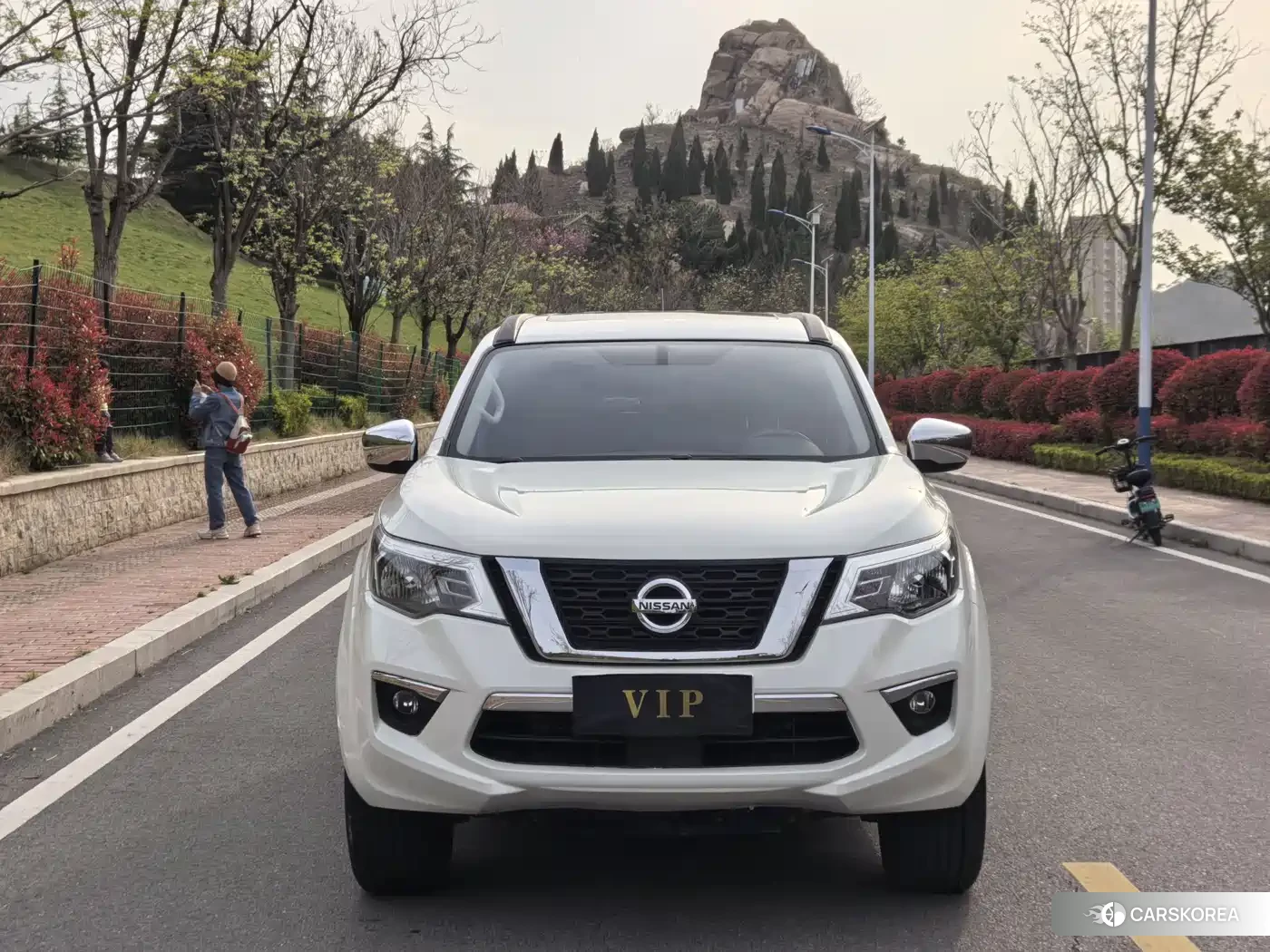 Nissan Terra id 4570441 из Китая 16