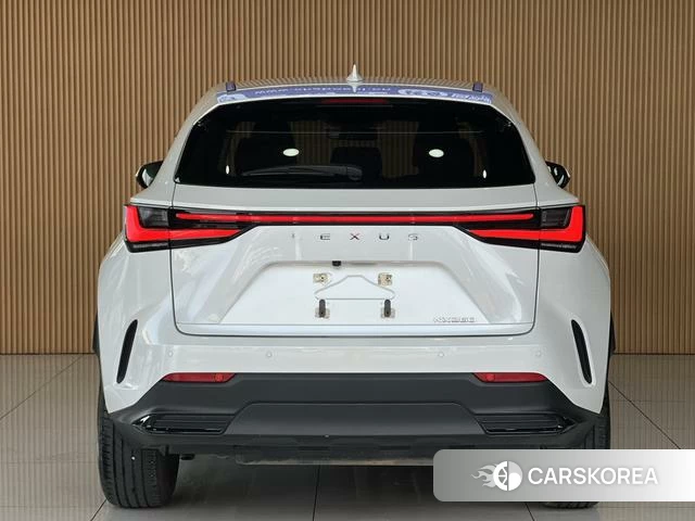 Lexus NX id 4278683 из Китая 14