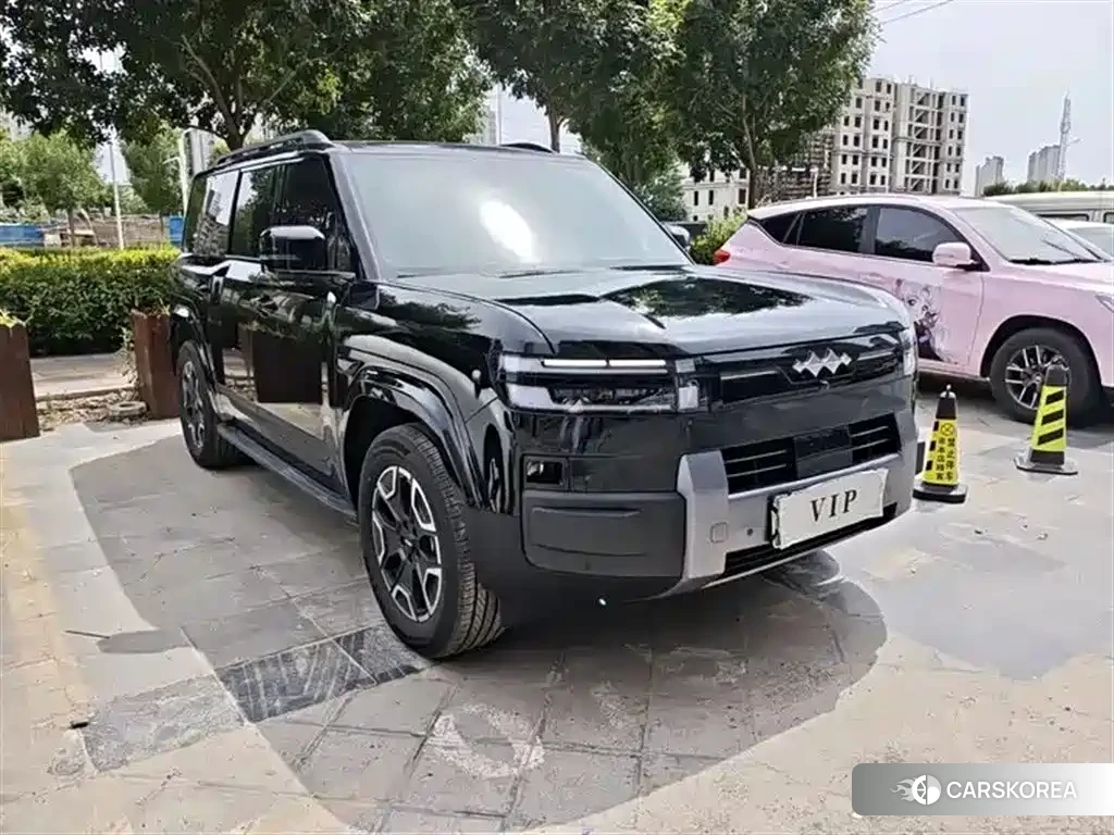 Leopard Titanium 7 id 4577873 из Китая 22