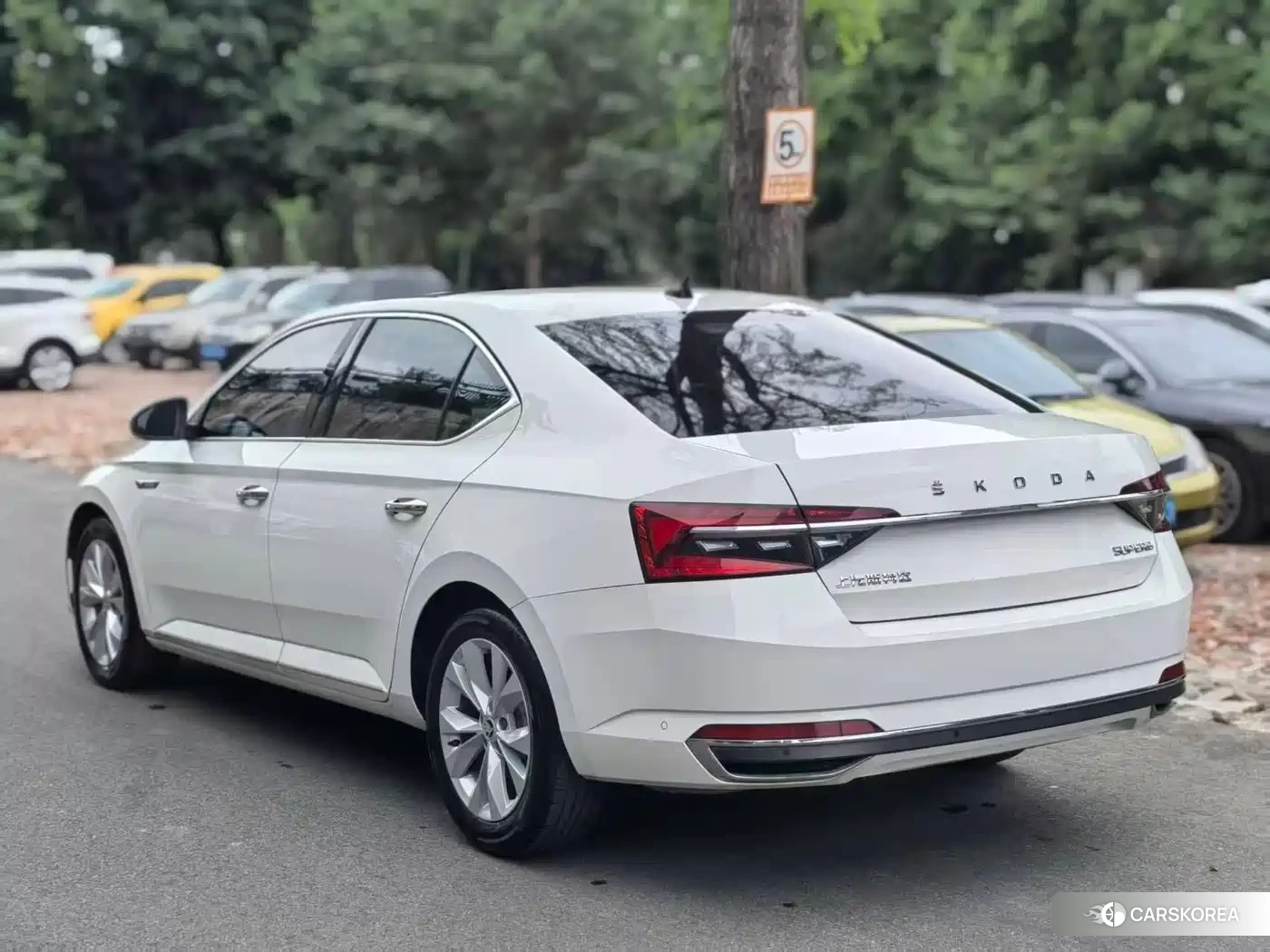 Skoda Speed pie id 4546086 из Китая 12