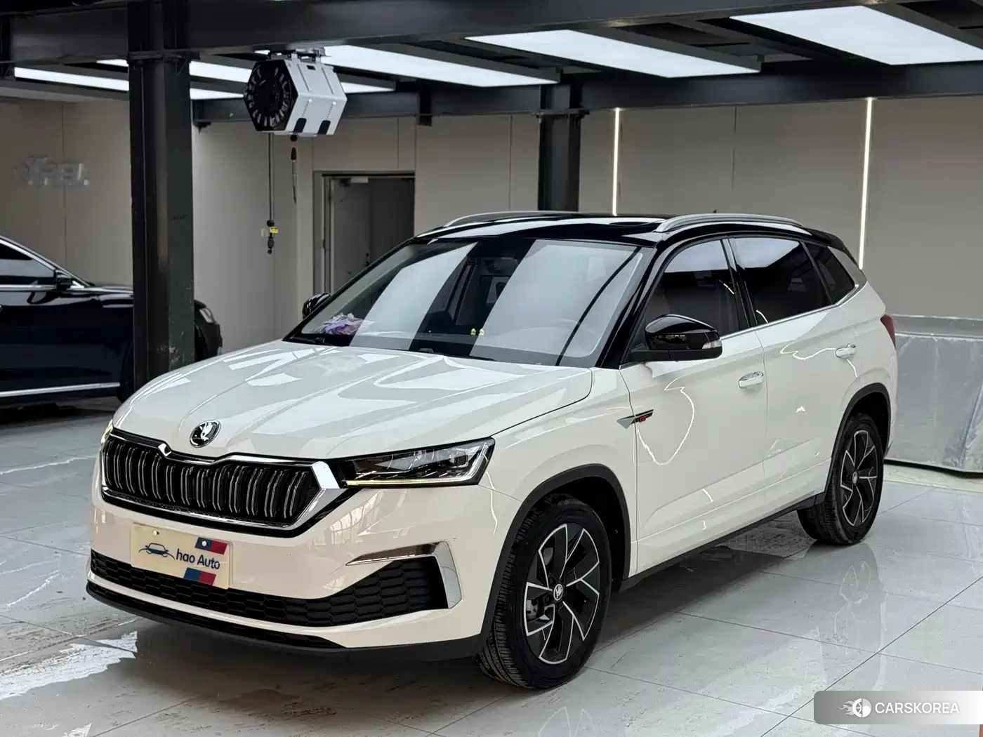 Skoda Komick id 4545669 из Китая 12
