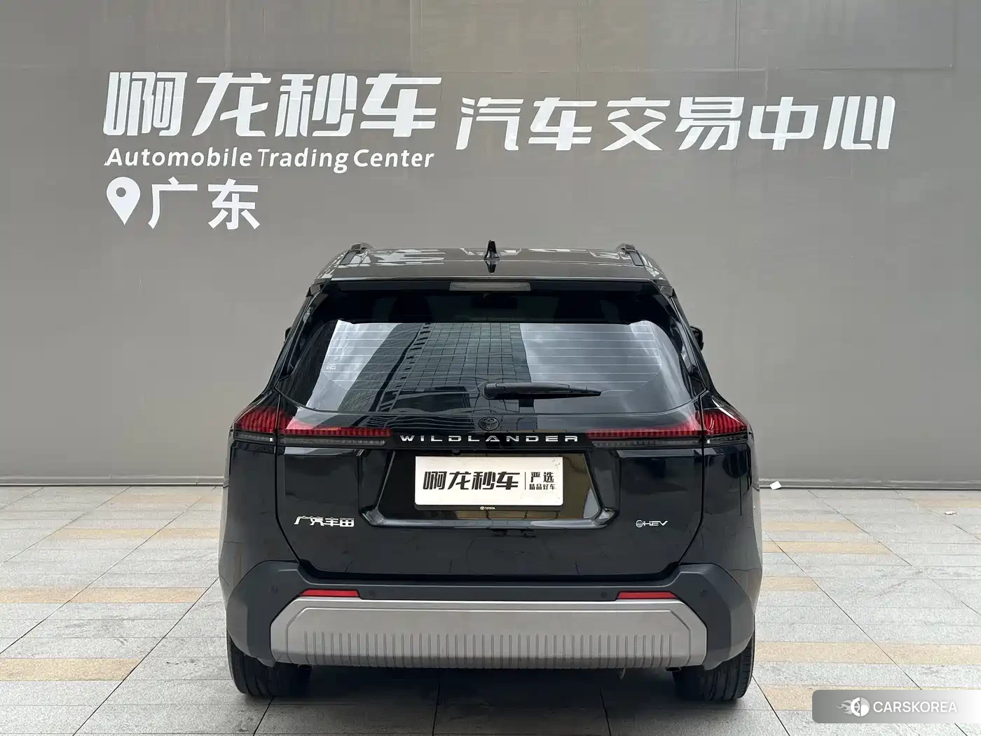 Toyota Wildlander id 4622351 из Китая 14