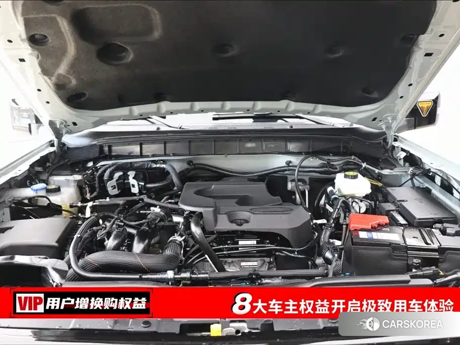 Ford Mustang id 4547940 из Китая 31