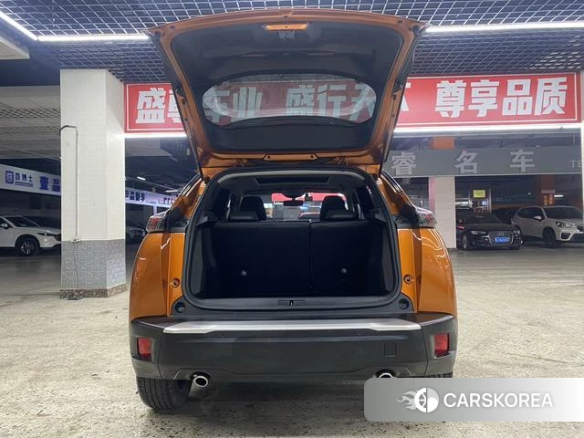 Peugeot 2008 id 3907952 из Китая 21