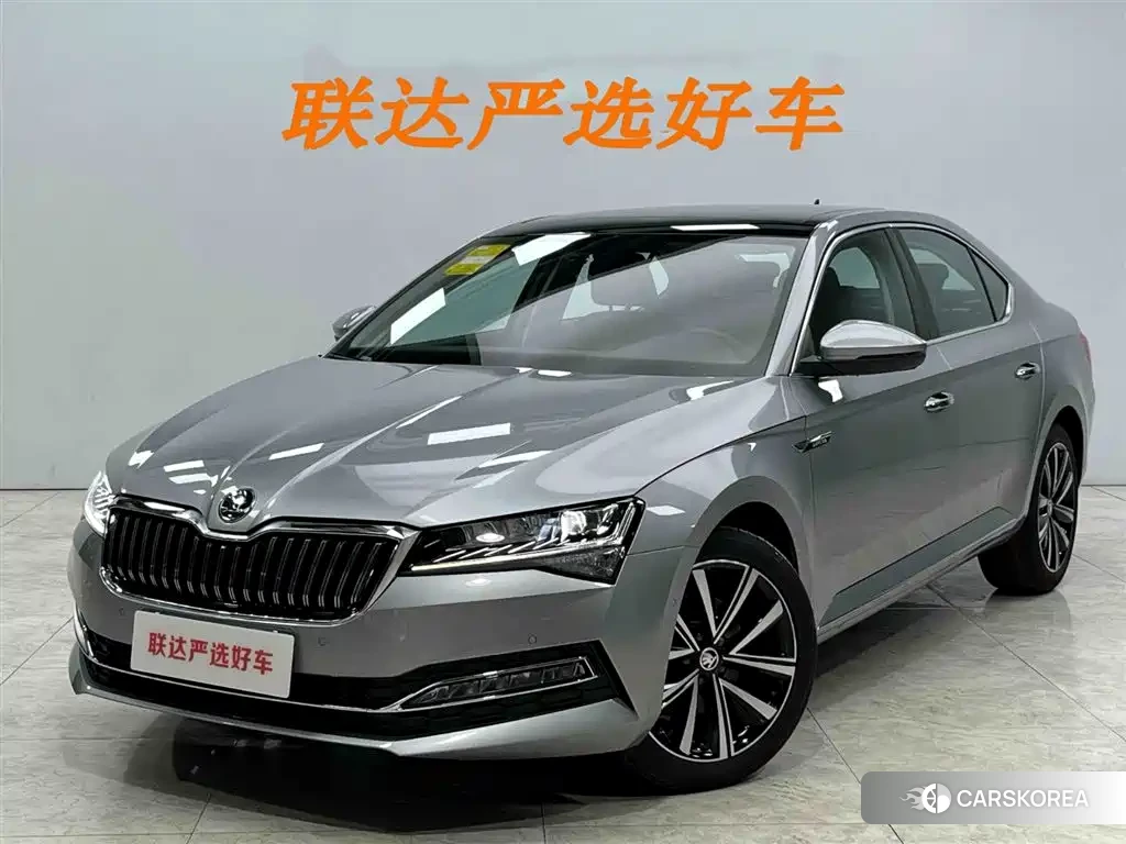 Skoda Speed pie id 4577562 из Китая 25