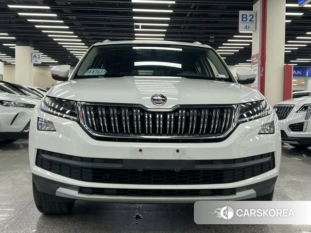 Skoda Kodiak id 4209576 из Китая 14