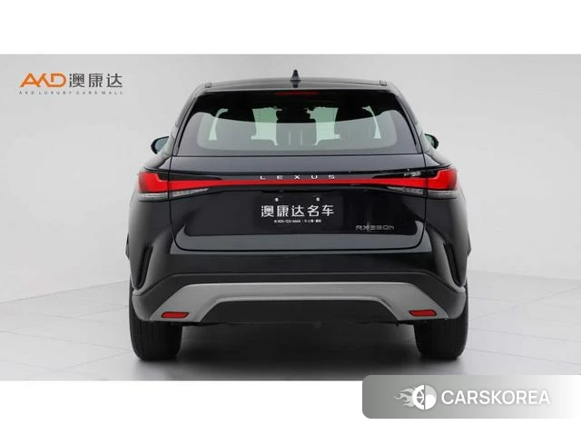Lexus RX id 4239949 из Китая 10
