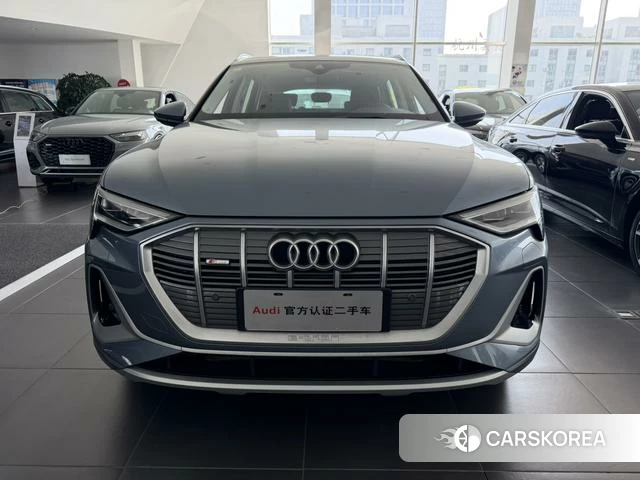 Audi e-tron id 3920668 из Китая 15