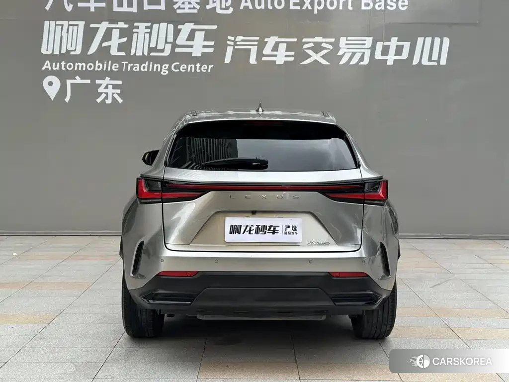 Lexus NX id 4680739 из Китая 23