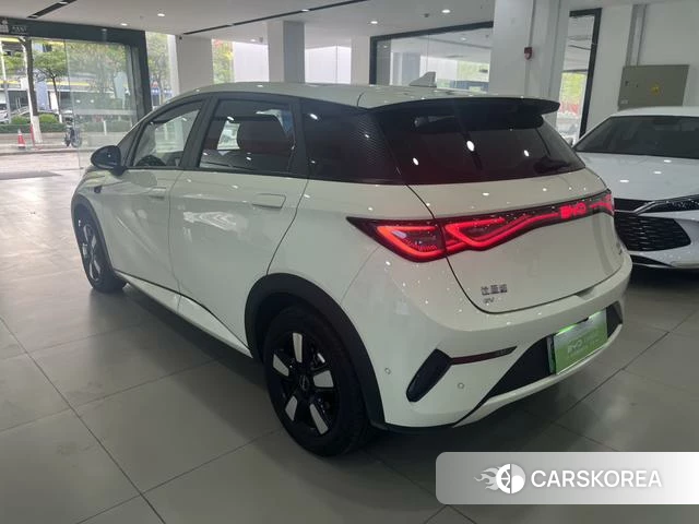 BYD dolphin id 3939402 из Китая 11