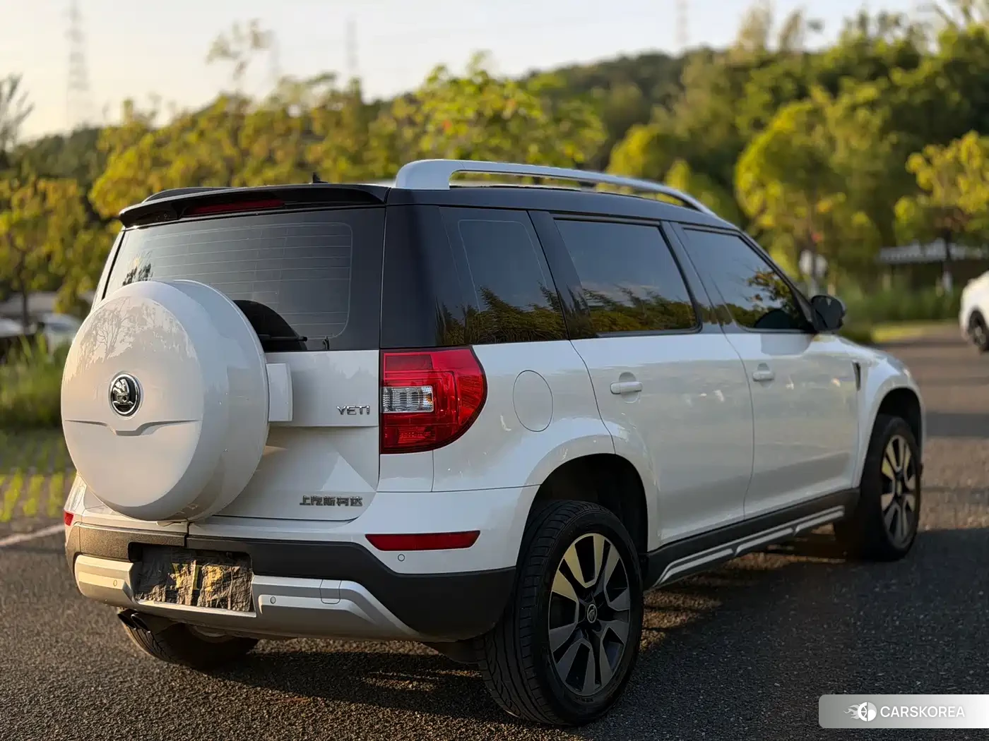 Skoda Yeti id 4622760 из Китая 18