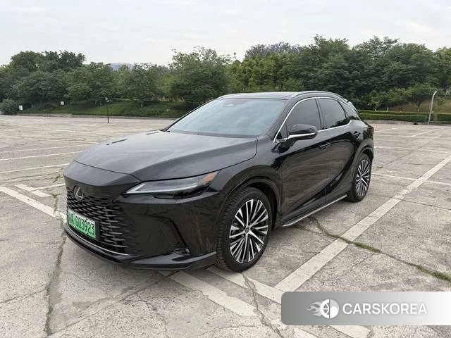 Lexus RX PHEV id 4329147 из Китая 12
