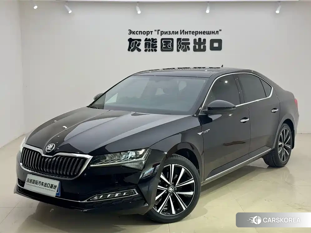 Skoda Speed pie id 4548301 из Китая 16