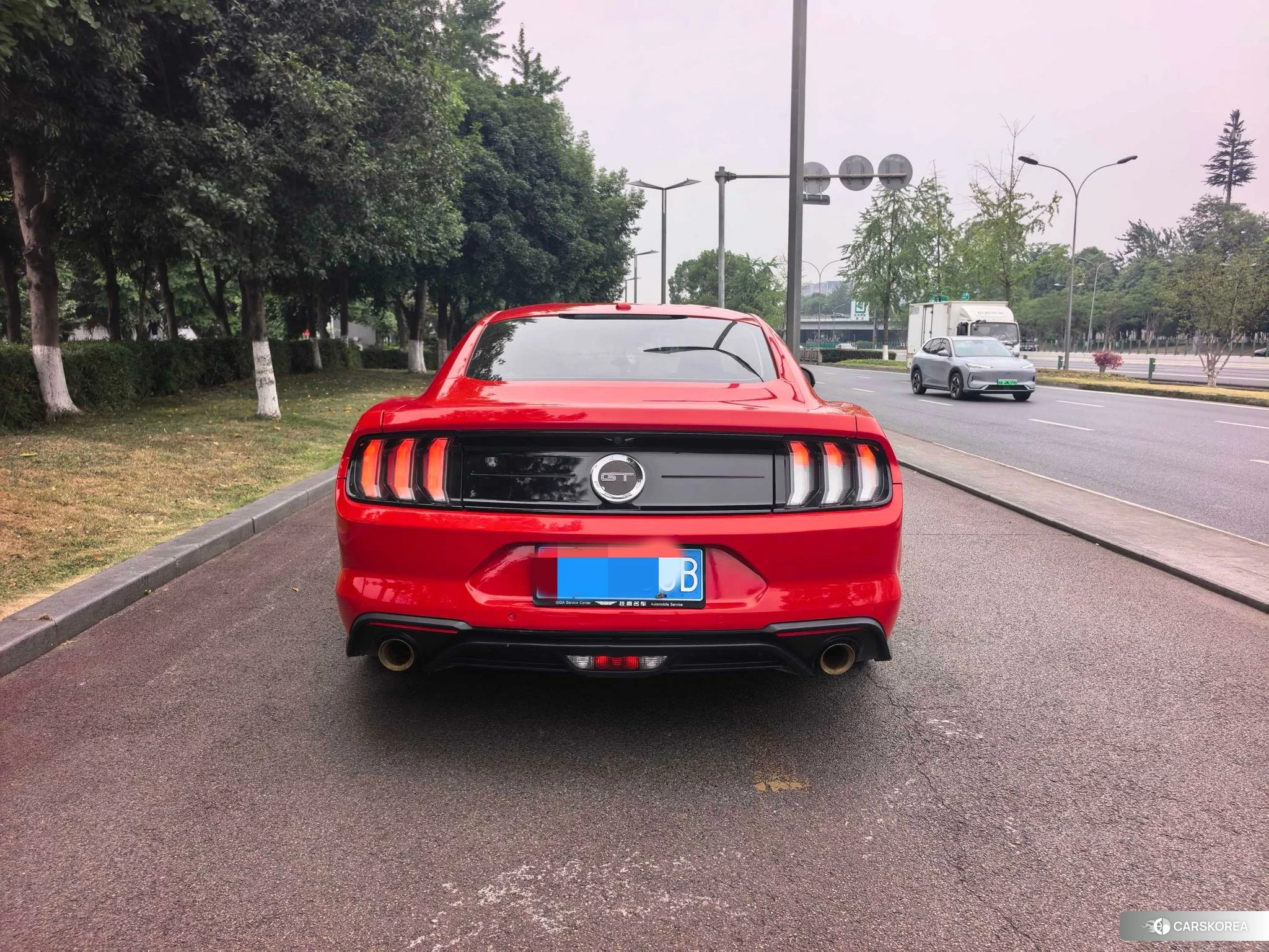 Ford Mustang id 4487485 из Китая 16