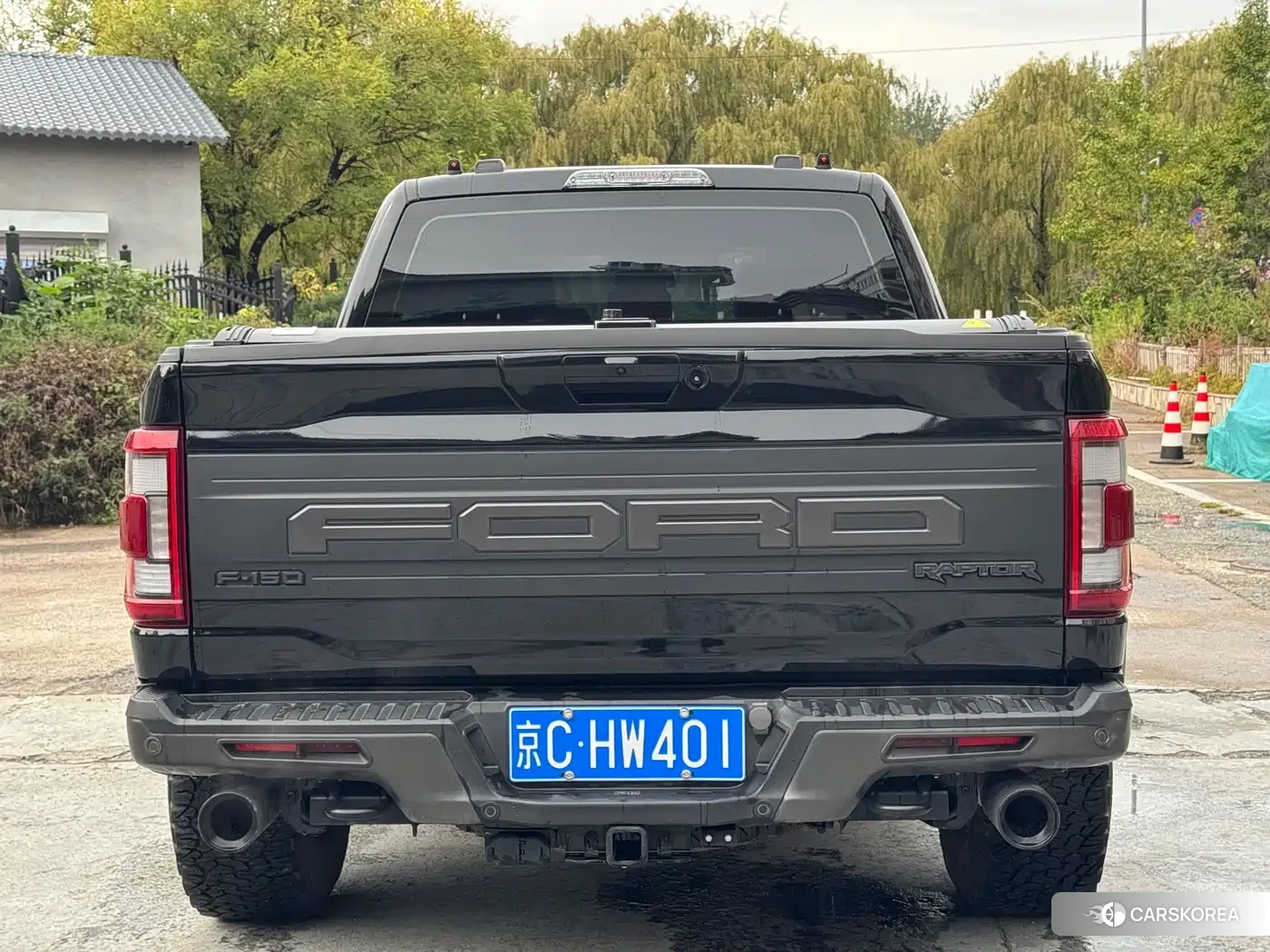 Ford F-150 Raptor id 4547550 из Китая 19