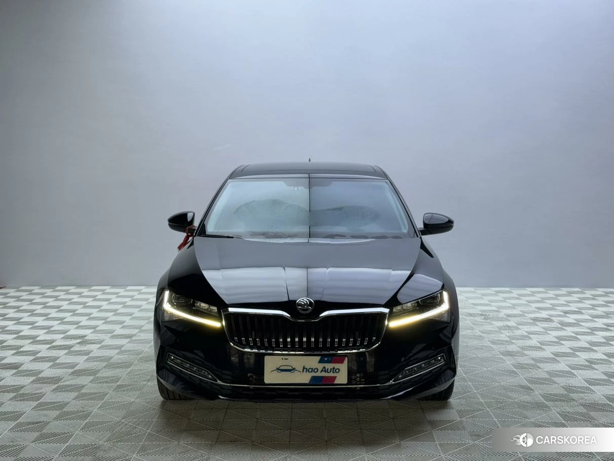 Skoda Speed pie id 4486470 из Китая 12