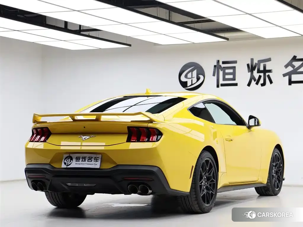Ford Mustang id 4548180 из Китая 32