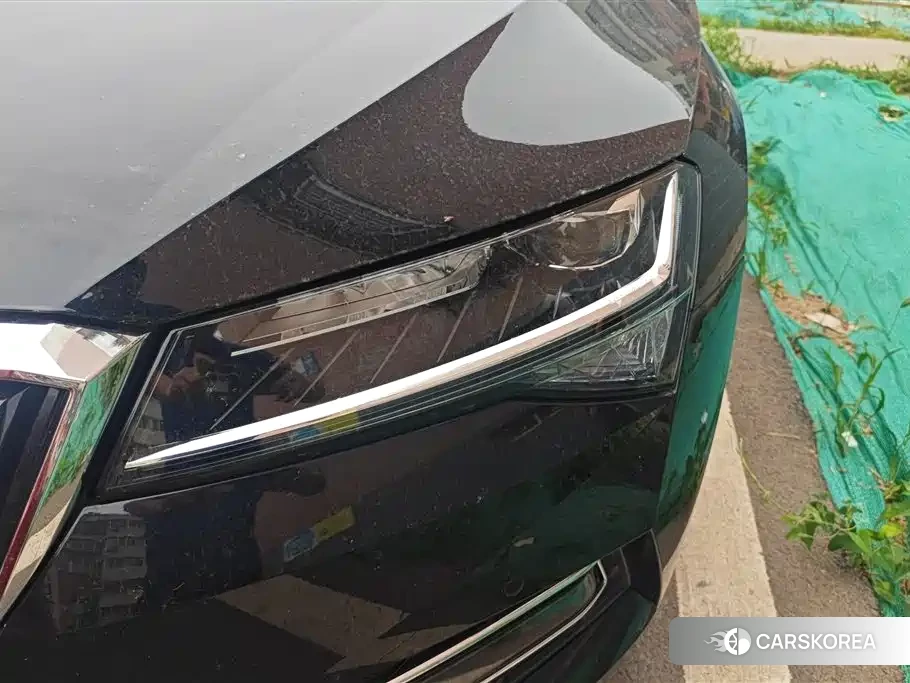Skoda Speed pie id 4546435 из Китая 16