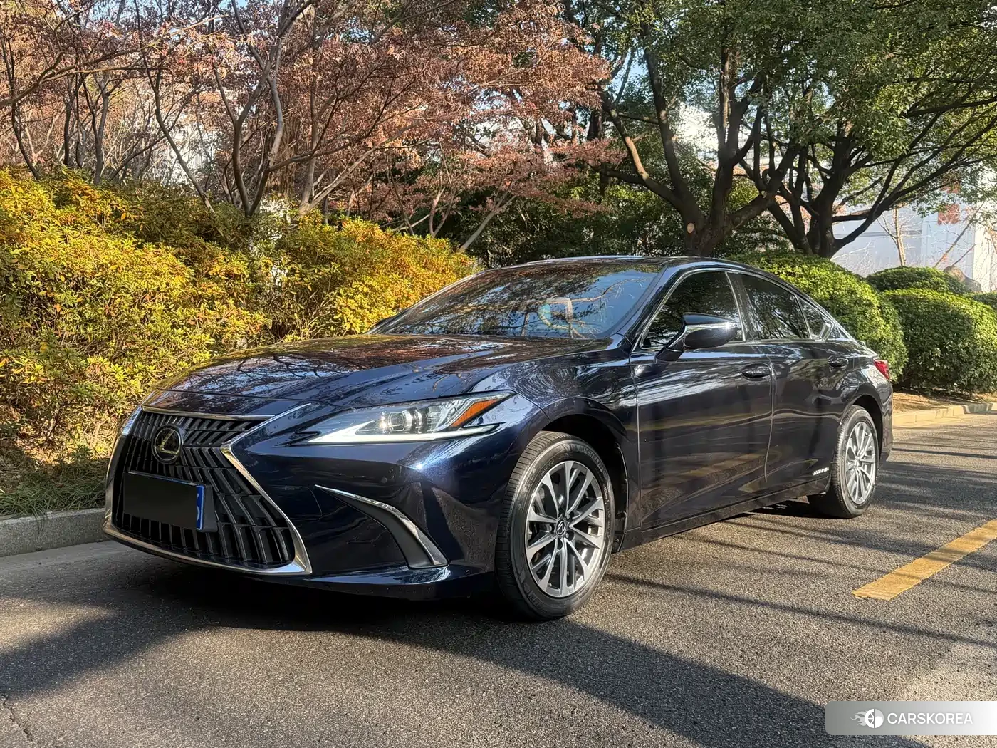 Lexus ES id 4559796 из Китая 12