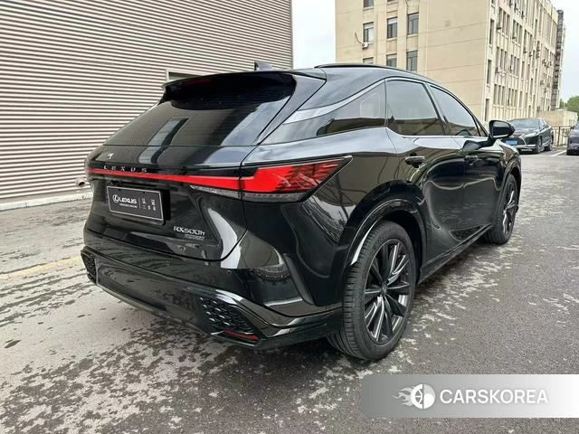 Lexus RX id 4365765 из Китая 21