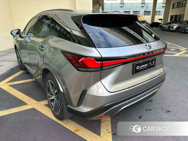 Lexus RX id 4277384 из Китая 25