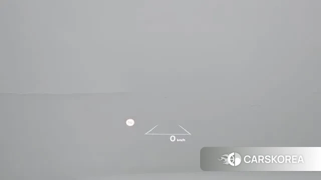 Hyundai Santa Fe (MX5) id 3431745 из Кореи 20