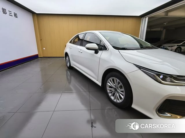 Toyota Asian lion id 4254208 из Китая 20