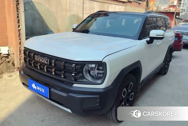 Haval Cool dog id 4207928 из Китая 17