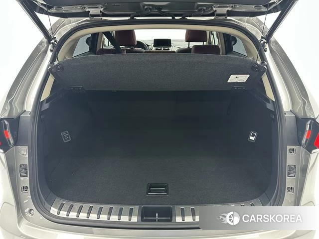 Lexus NX id 4341936 из Китая 19