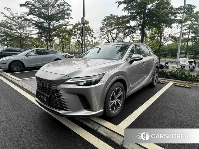 Lexus RX id 4277346 из Китая 12