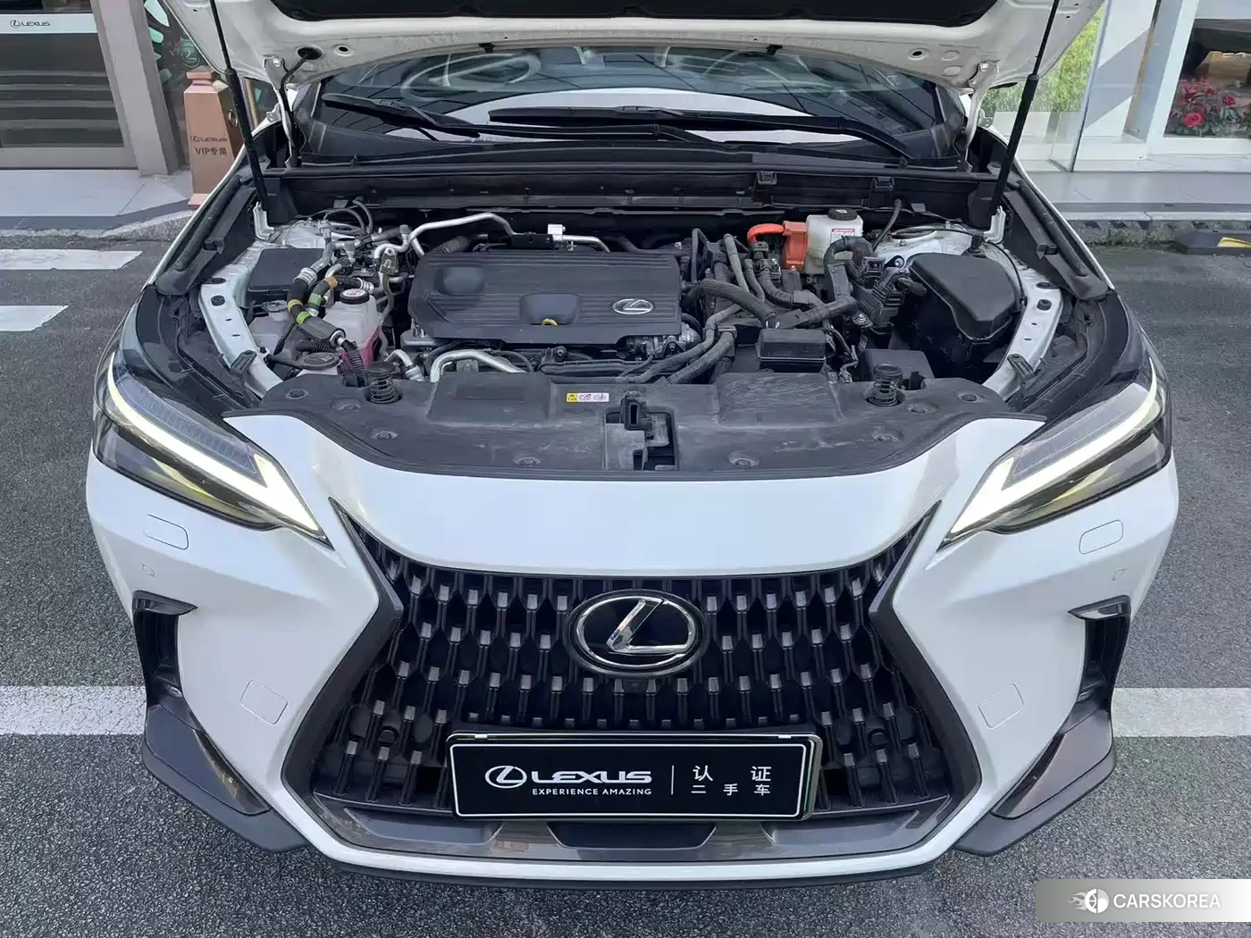 Lexus NX New Energy id 4553817 из Китая 10