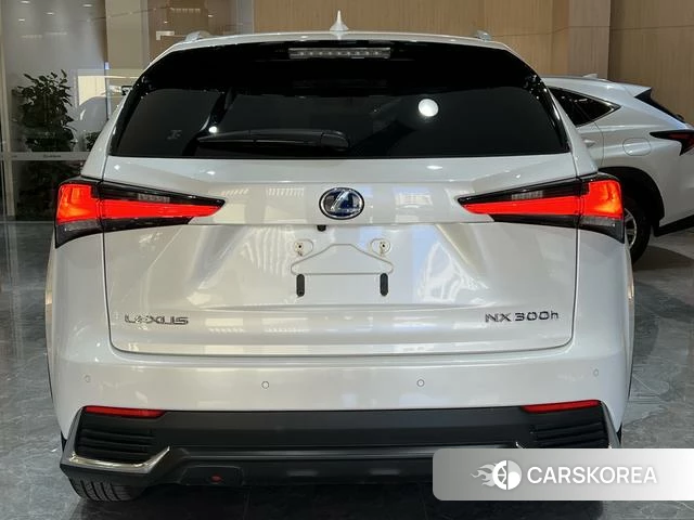 Lexus NX id 4262440 из Китая 19
