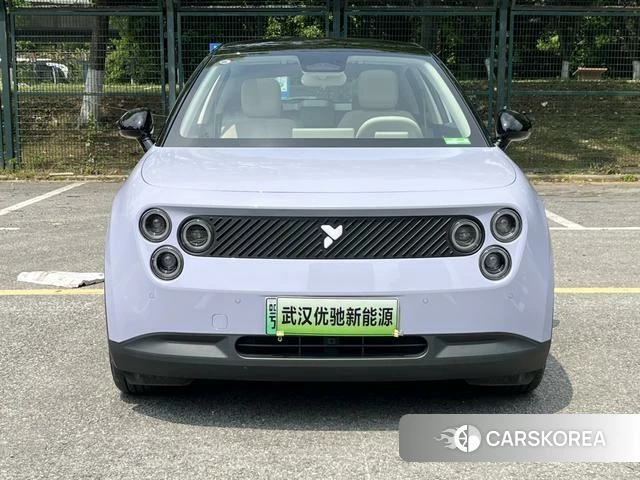 firefly firefly Unknown id 3993380 из Китая 24