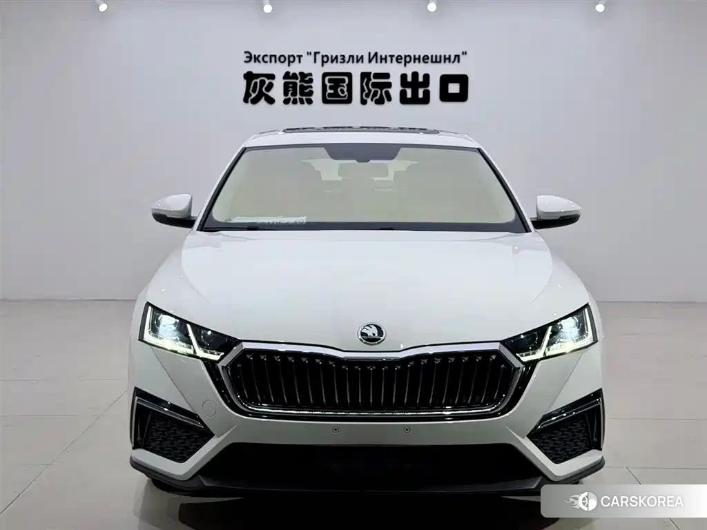 Skoda Octavia id 4548215 из Китая 15