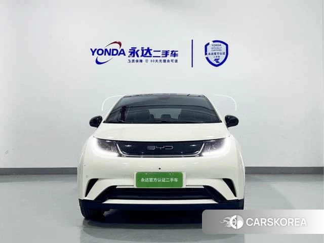 BYD dolphin id 4240193 из Китая 17