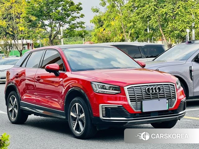 Audi Q2L e-tron id 4392391 из Китая 12