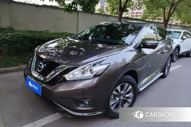 Nissan Loulan id 4307444 из Китая 17