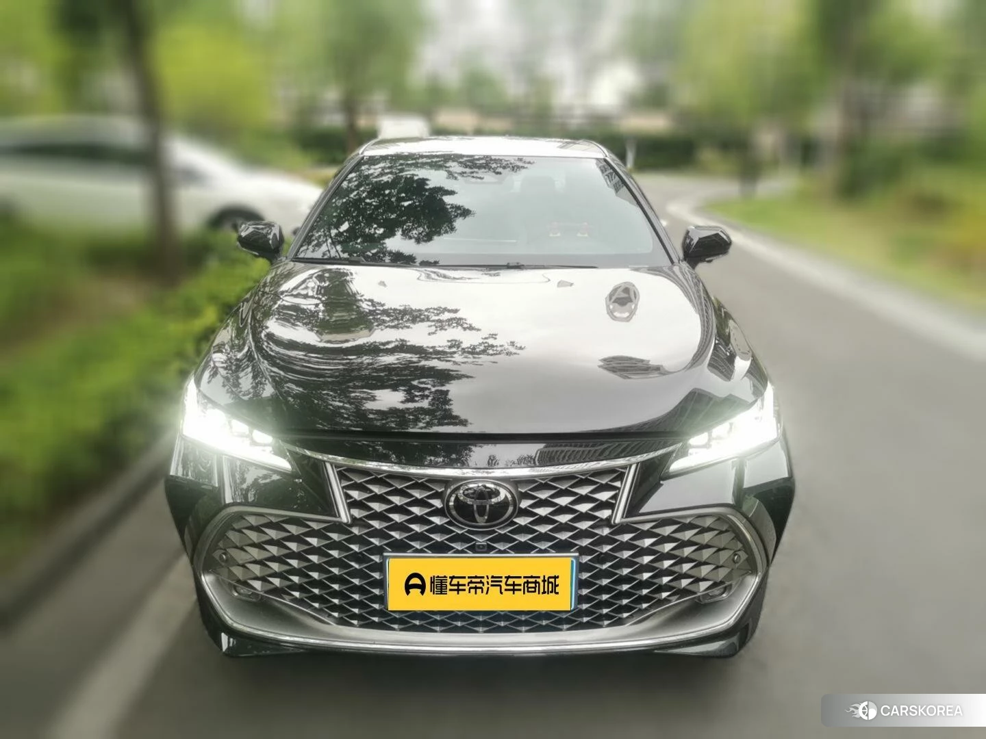 Toyota Asian dragon id 4455121 из Китая 17