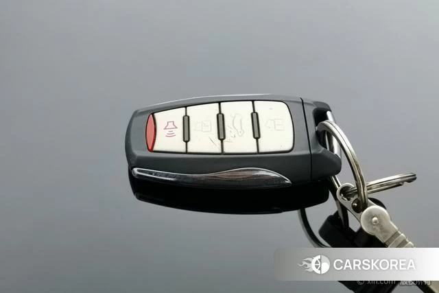 Haval Big dog id 4210520 из Китая 24