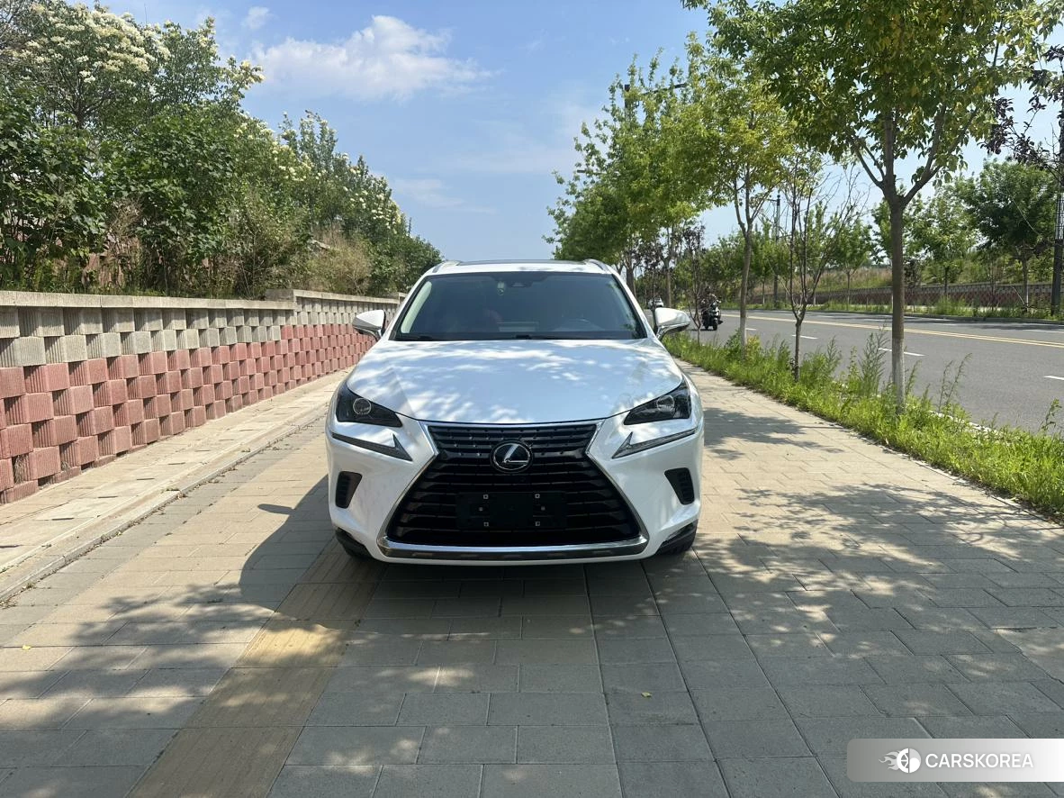 Lexus NX id 4493230 из Китая 16