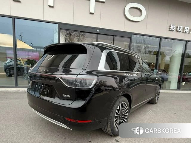 AITO Ask the world M9 id 4214029 из Китая 12