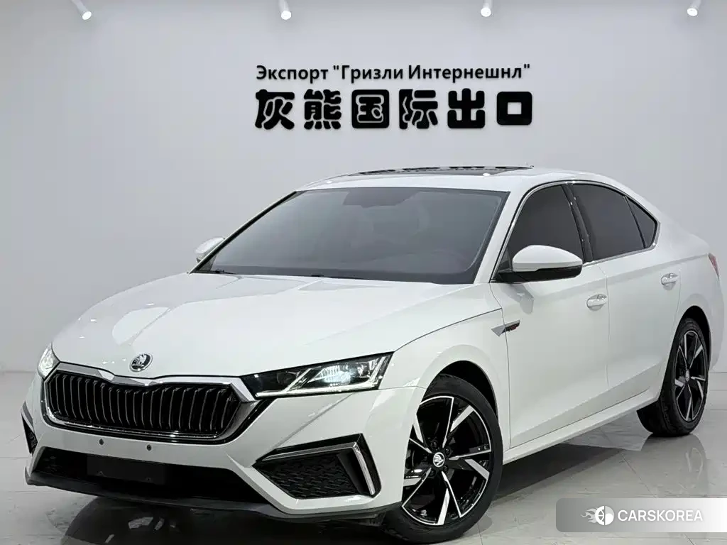 Skoda Octavia id 4565101 из Китая 17