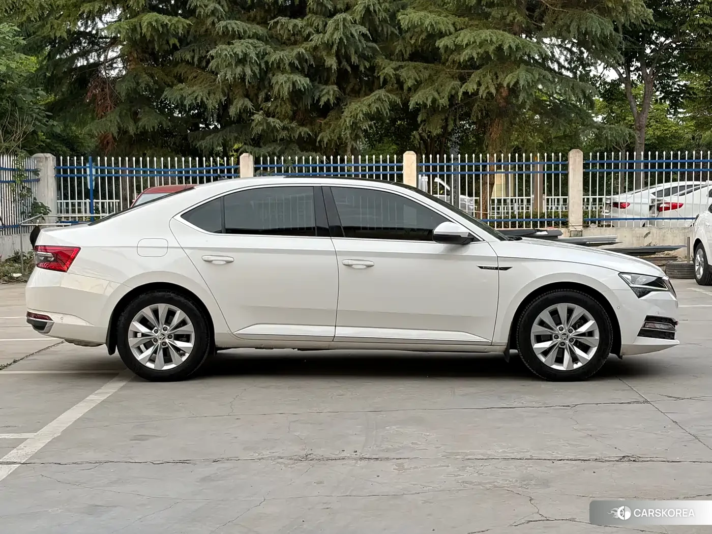 Skoda Speed pie id 4546078 из Китая 19