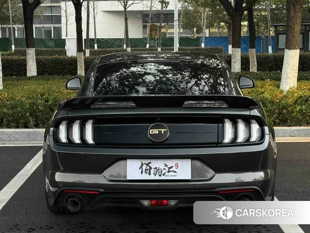 Ford Mustang id 4254564 из Китая 15