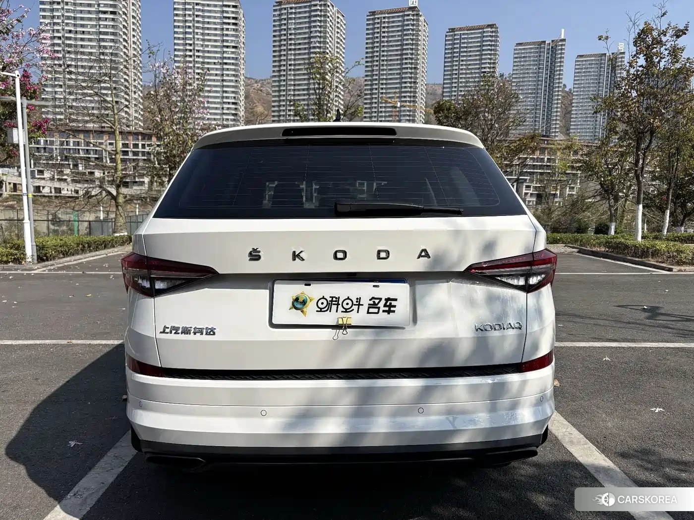 Skoda Kodiak id 4545945 из Китая 16