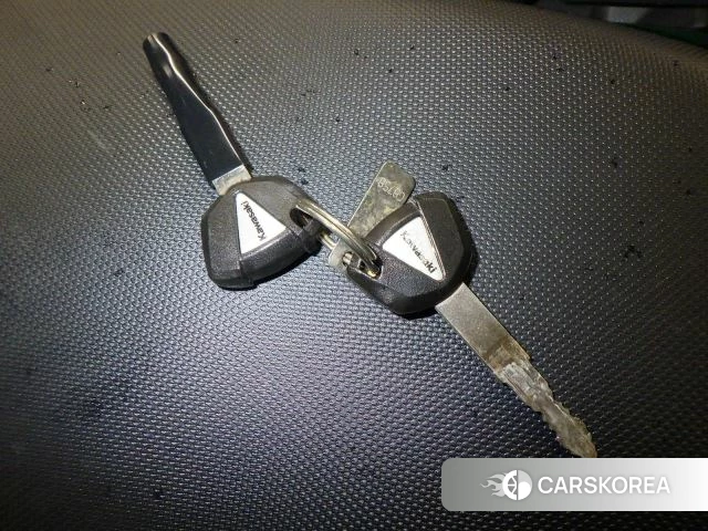 Kawasaki NINJA 1000 ABS id 3947354 из Японии 34