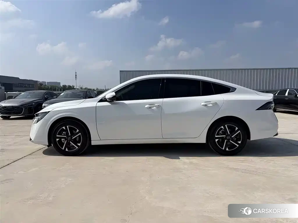 Nissan Sylphy id 4589159 из Китая 19