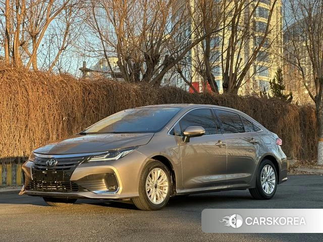 Toyota Asian lion id 4297960 из Китая 10